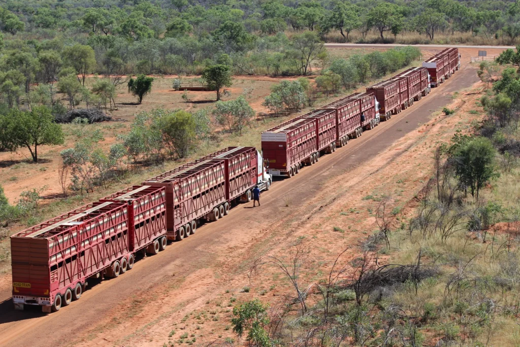Mitchell's Livestock Transport Road Trains North Western Australia
